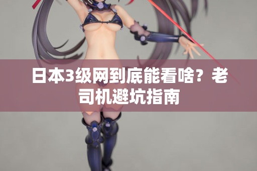 日本3级网到底能看啥？老司机避坑指南
