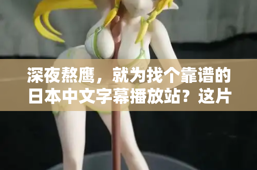 深夜熬鹰，就为找个靠谱的日本中文字幕播放站？这片指南能救你