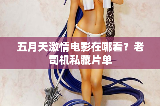 五月天激情电影在哪看？老司机私藏片单