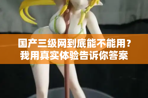 国产三级网到底能不能用？我用真实体验告诉你答案