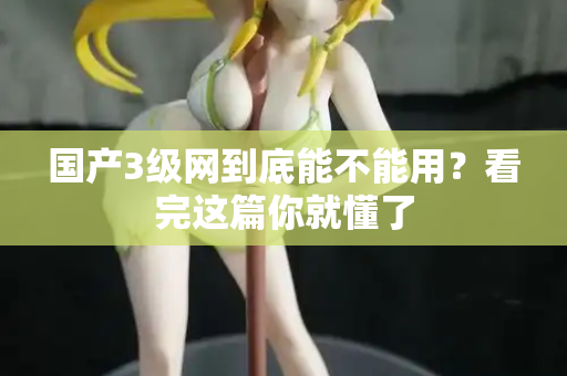 国产3级网到底能不能用？看完这篇你就懂了