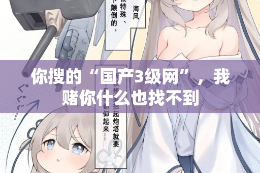 你搜的“国产3级网”，我赌你什么也找不到