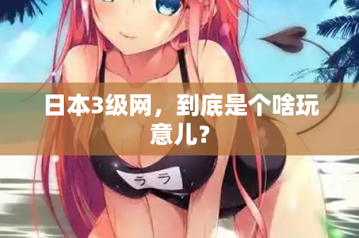 日本3级网，到底是个啥玩意儿？