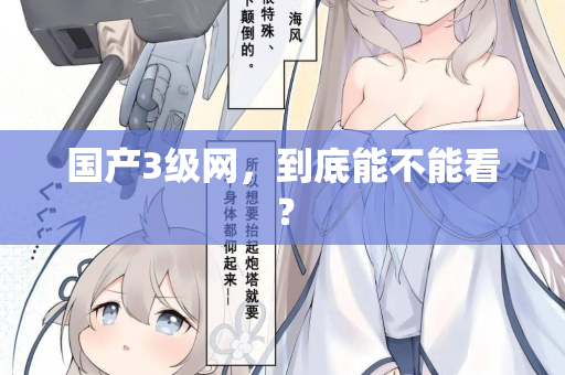 国产3级网，到底能不能看？