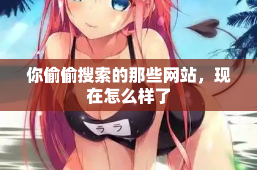 你偷偷搜索的那些网站，现在怎么样了
