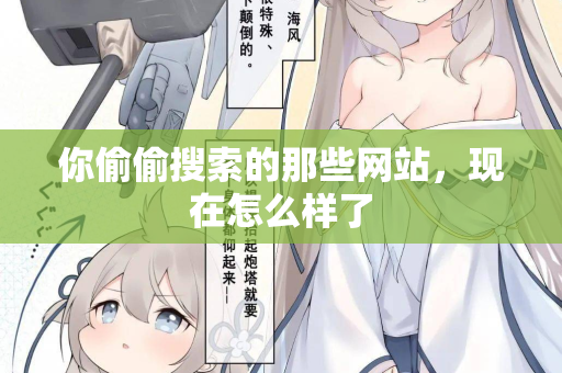你偷偷搜索的那些网站，现在怎么样了