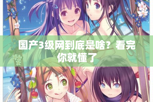 国产3级网到底是啥？看完你就懂了