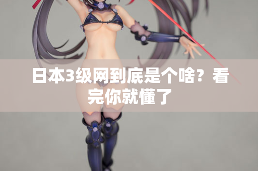 日本3级网到底是个啥？看完你就懂了
