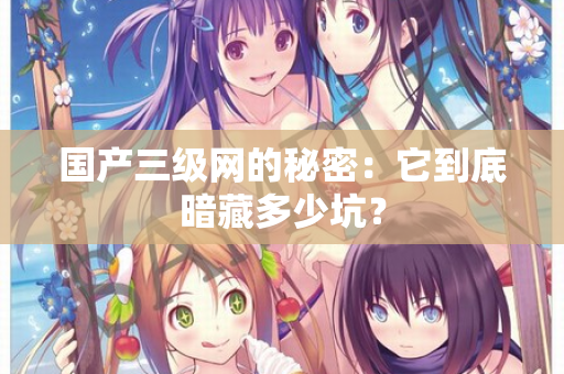 国产三级网的秘密：它到底暗藏多少坑？