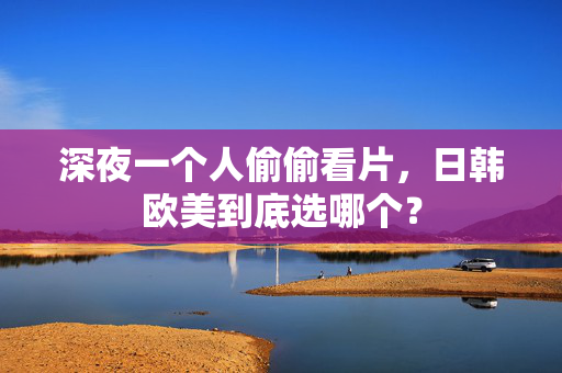 深夜一个人偷偷看片，日韩欧美到底选哪个？