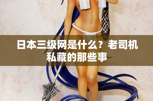 日本三级网是什么？老司机私藏的那些事