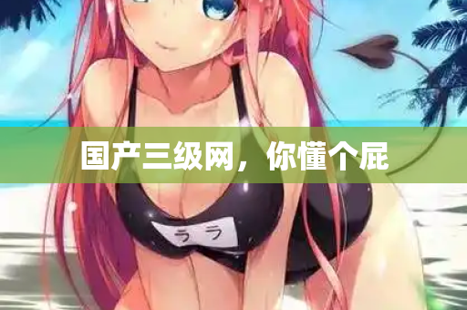 国产三级网，你懂个屁