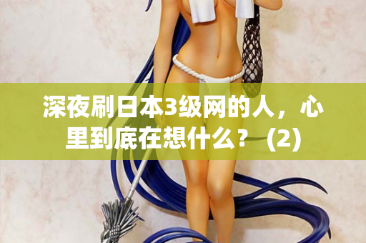 深夜刷日本3级网的人，心里到底在想什么？ (2)