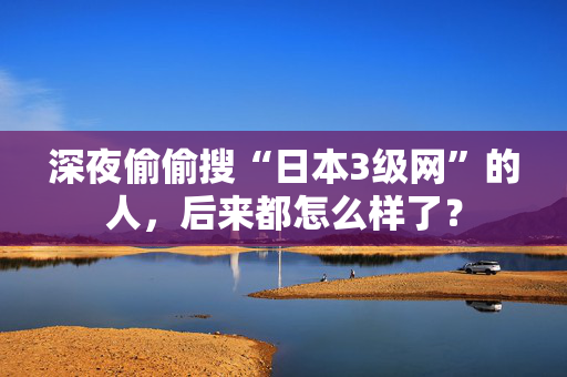 深夜偷偷搜“日本3级网”的人，后来都怎么样了？