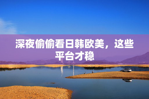 深夜偷偷看日韩欧美，这些平台才稳