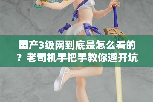 国产3级网到底是怎么看的？老司机手把手教你避开坑