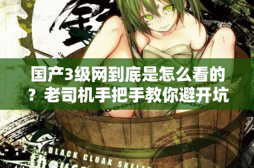 国产3级网到底是怎么看的？老司机手把手教你避开坑