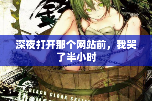 深夜打开那个网站前，我哭了半小时