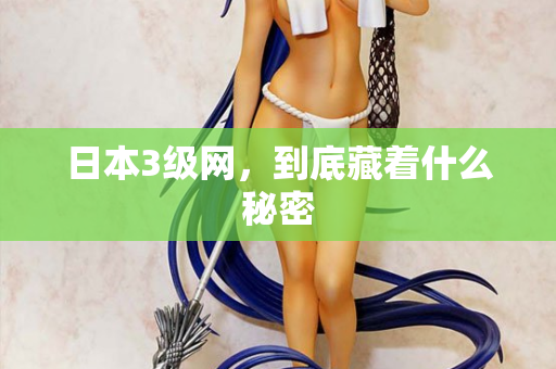 日本3级网，到底藏着什么秘密
