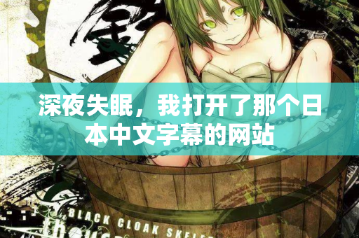 深夜失眠，我打开了那个日本中文字幕的网站