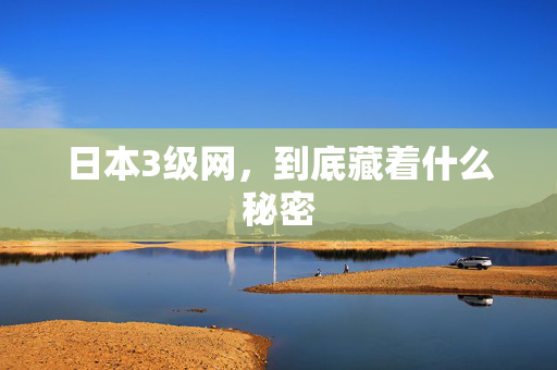 日本3级网，到底藏着什么秘密