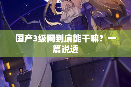 国产3级网到底能干嘛？一篇说透