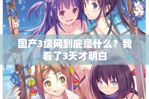 国产3级网到底是什么？我看了3天才明白