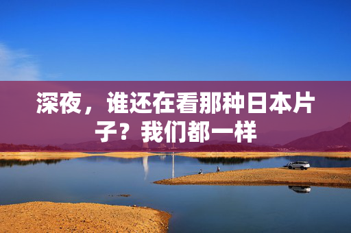 深夜，谁还在看那种日本片子？我们都一样