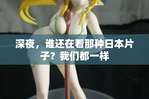 深夜，谁还在看那种日本片子？我们都一样