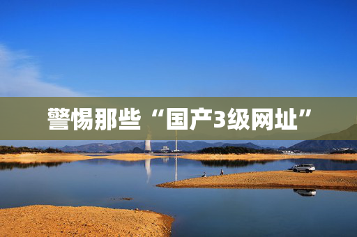 警惕那些“国产3级网址”