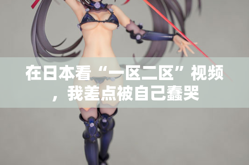 在日本看“一区二区”视频，我差点被自己蠢哭