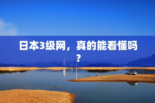 日本3级网，真的能看懂吗？