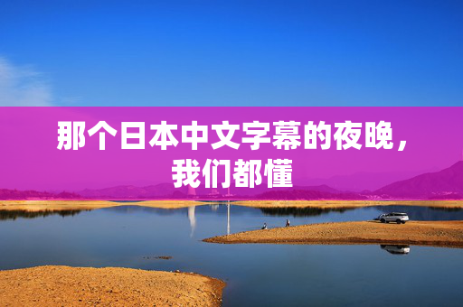那个日本中文字幕的夜晚，我们都懂