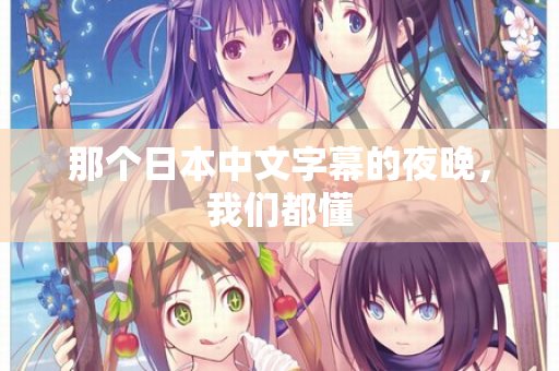 那个日本中文字幕的夜晚，我们都懂
