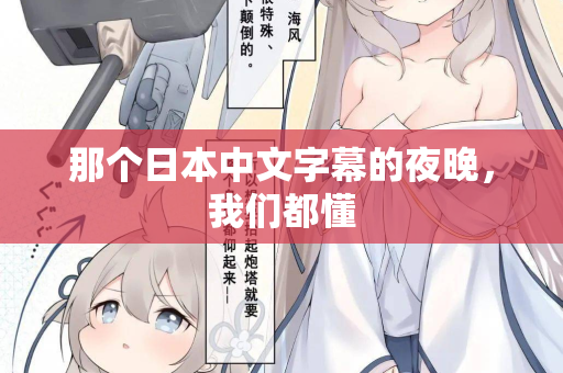 那个日本中文字幕的夜晚，我们都懂