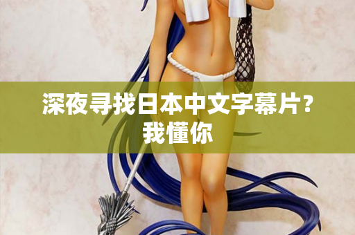 深夜寻找日本中文字幕片？我懂你