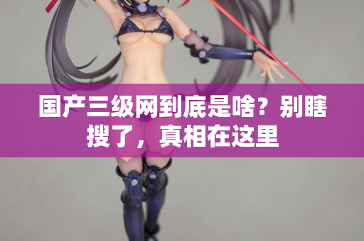 国产三级网到底是啥？别瞎搜了，真相在这里
