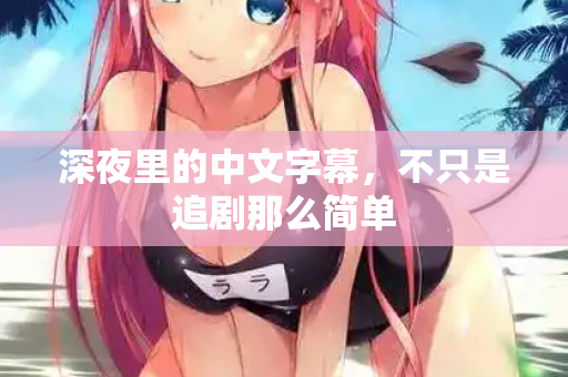 深夜里的中文字幕，不只是追剧那么简单