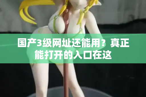 国产3级网址还能用？真正能打开的入口在这