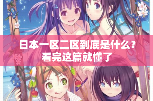 日本一区二区到底是什么？看完这篇就懂了