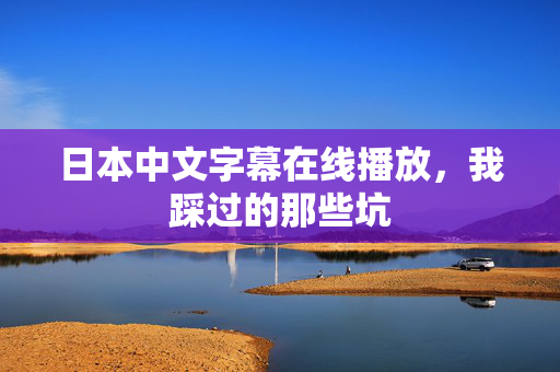 日本中文字幕在线播放，我踩过的那些坑