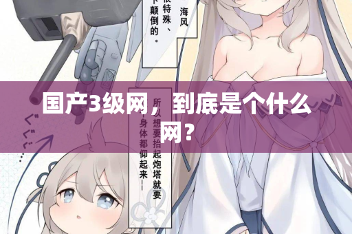 国产3级网，到底是个什么网？