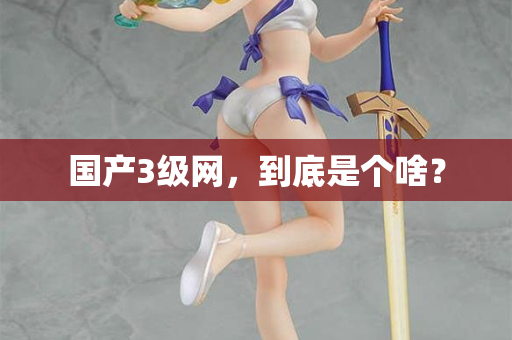 国产3级网，到底是个啥？