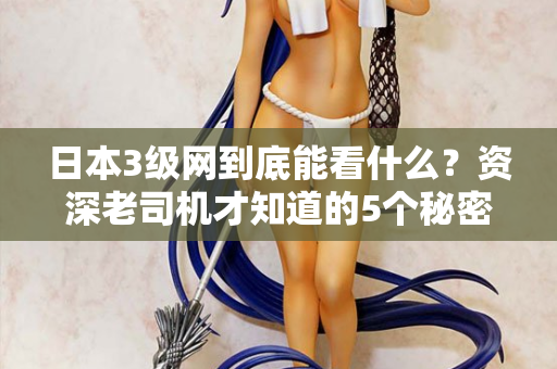 日本3级网到底能看什么？资深老司机才知道的5个秘密