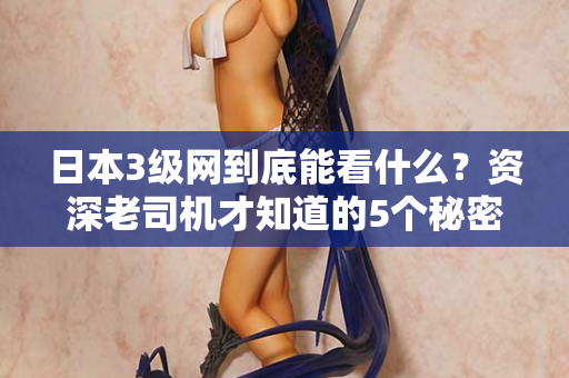 日本3级网到底能看什么？资深老司机才知道的5个秘密