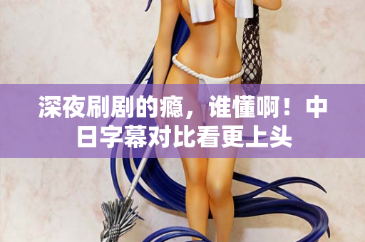 深夜刷剧的瘾，谁懂啊！中日字幕对比看更上头