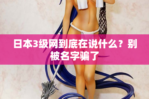 日本3级网到底在说什么？别被名字骗了