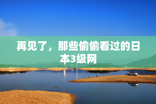 再见了，那些偷偷看过的日本3级网