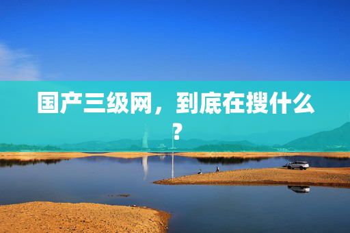 国产三级网，到底在搜什么？