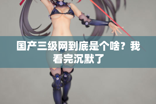 国产三级网到底是个啥？我看完沉默了